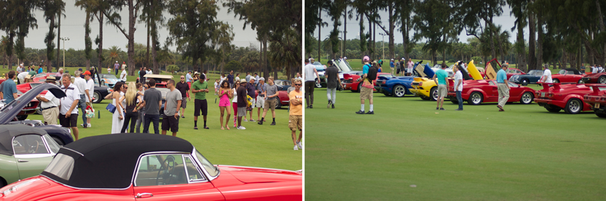 A golf course in the tropics is a quite wonderful place for a car show.